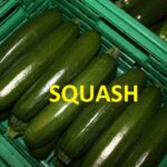Squash med tekst